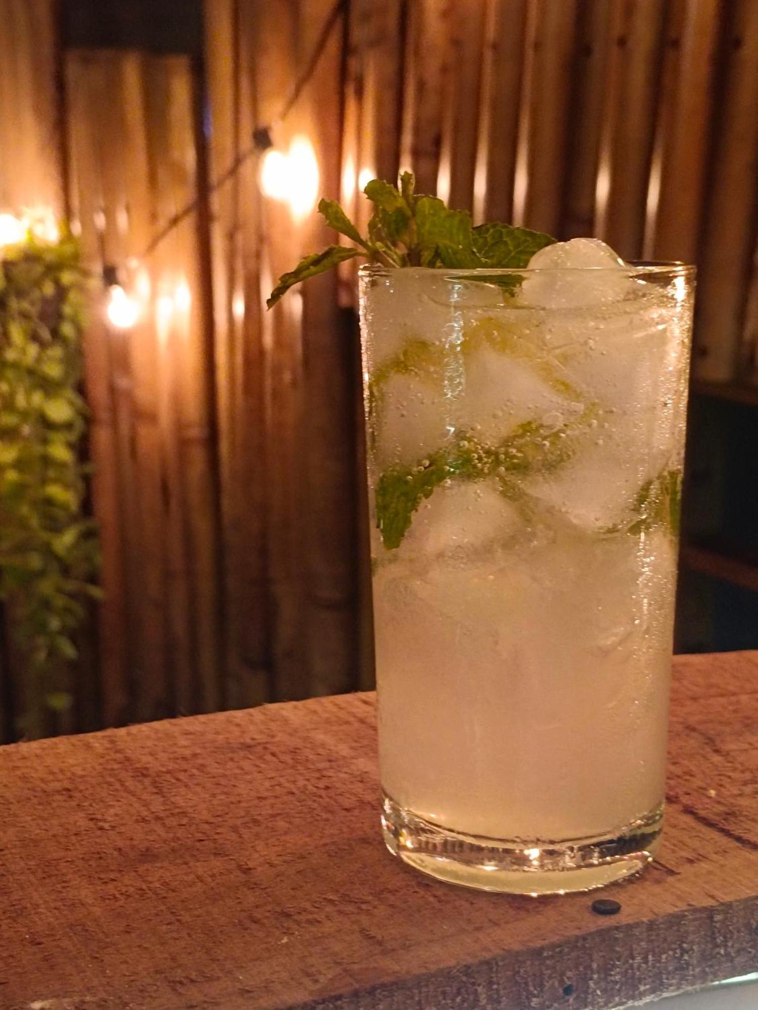 Homestay Tiki Bar-kantiang *
